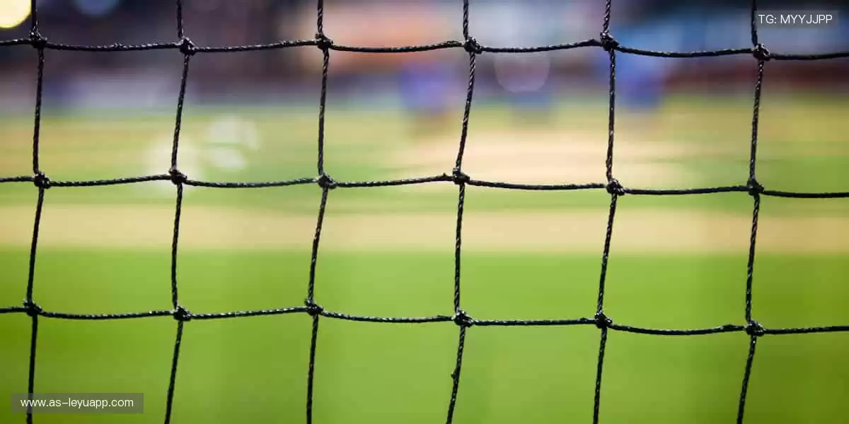 🎁🌟 限量周边，收藏你的热爱！